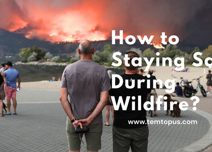 How to Staying Safe During Wildfire?