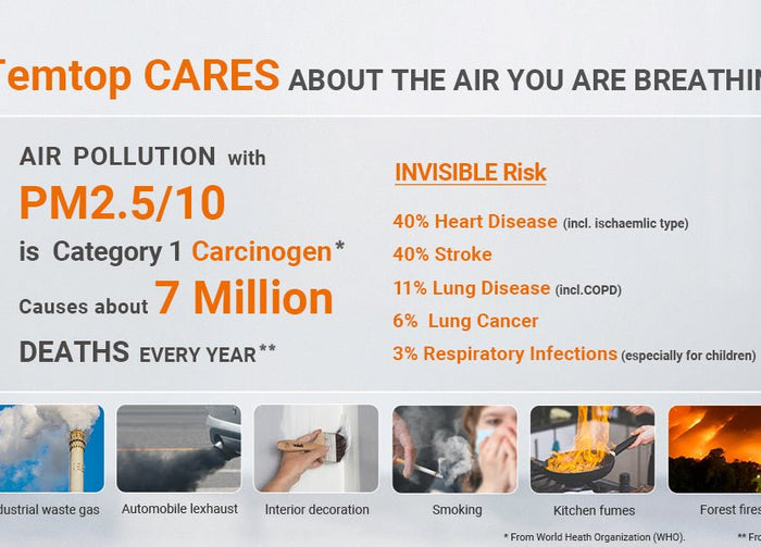 Temtop Air Quality Monitor for Schools